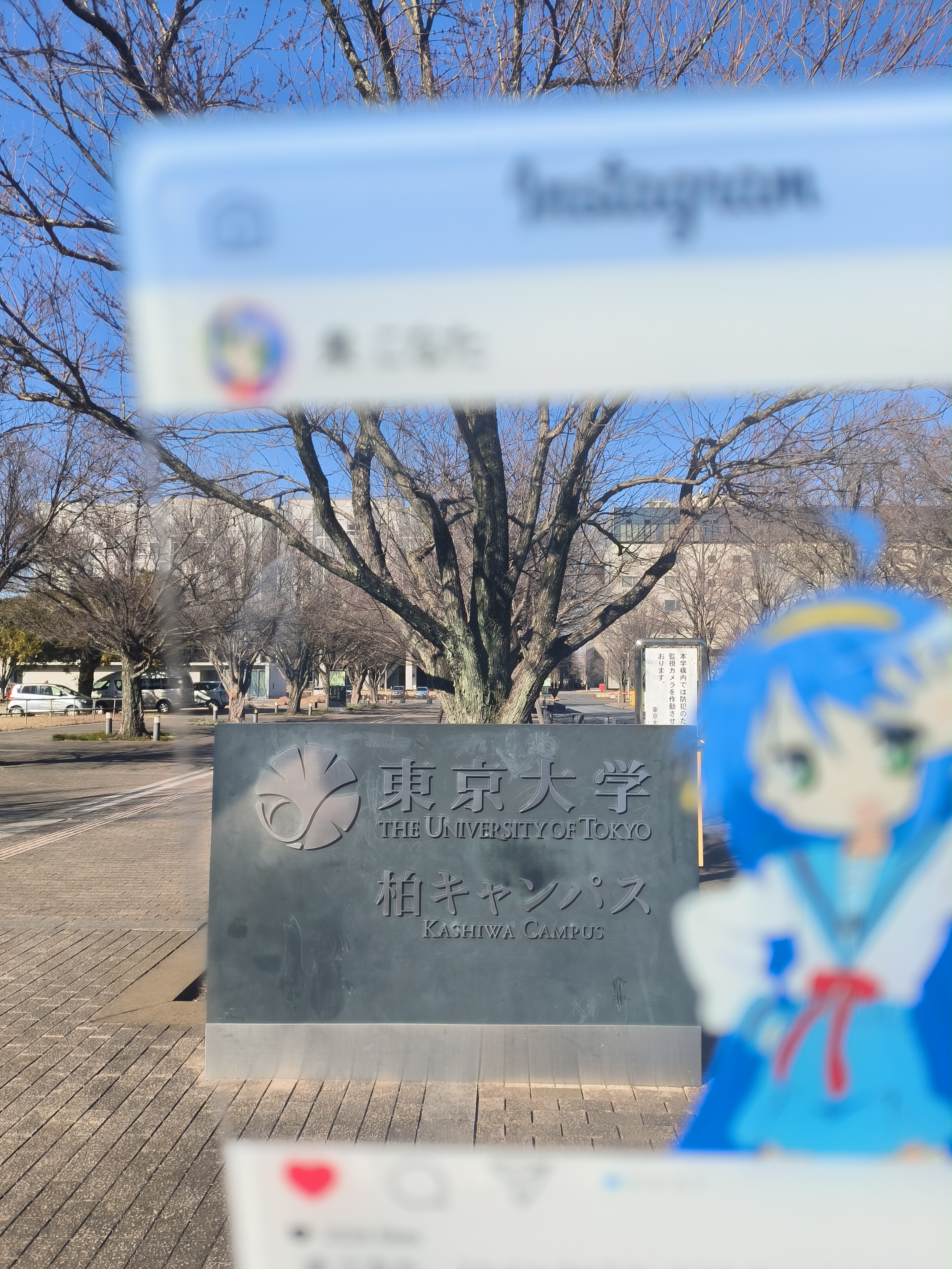 Kashiwwa