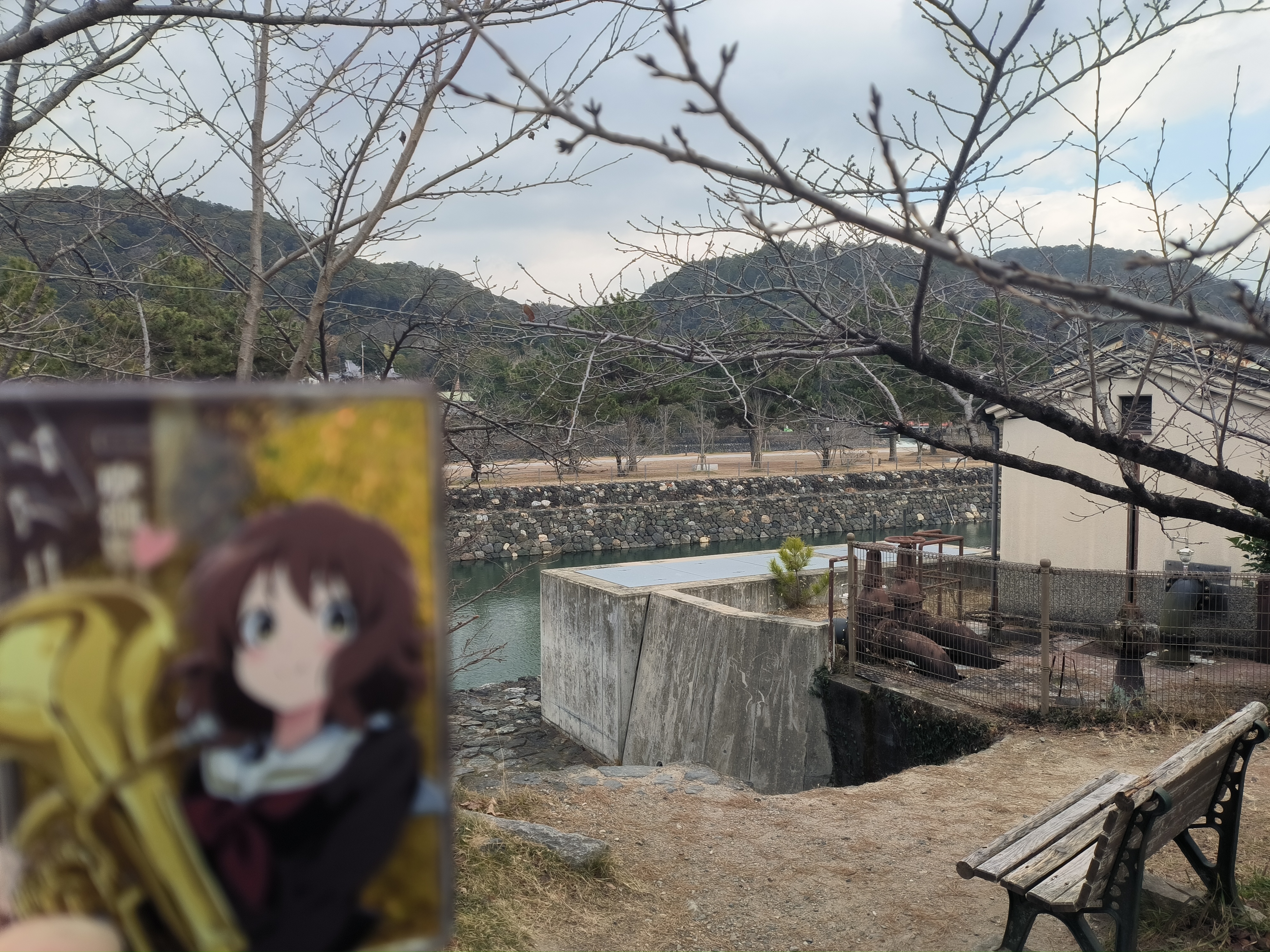 Uchi